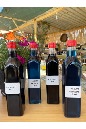 2 Schwarzer Maulbeerextrakt 2 Blaubeerextrakt 700 g - Karadağdoğalürünler