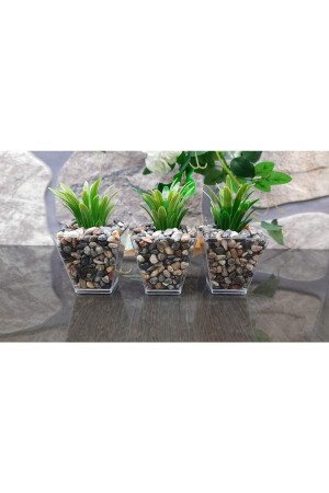 3’lü Çakıl Saksıda Yapay Yeşillik Yapay Çiçek 6cmx10cm - Süs Ağacı