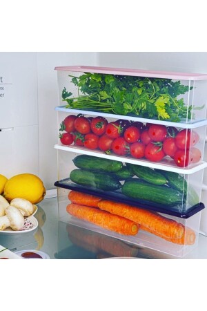 4-teiliges Vorratsbehälter-Set mit buntem Deckel RP-0001 - ray plastik