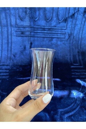 6'lı Fit Rakı Bardağı nlbr30064 - Paşabahçe