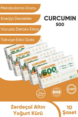 Abnehmen und den Stoffwechsel beschleunigen – Fatburner Curcumin 500 Detox – 5 Packungen N-413810 - Curcumin 500