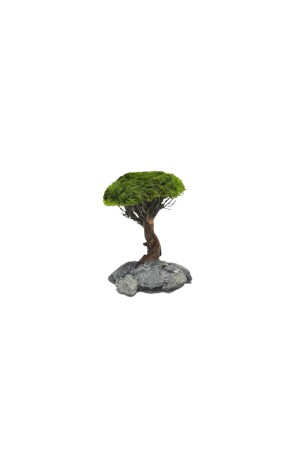 Ağaç Figürü Moss Sarılı 's' afms12. - 1