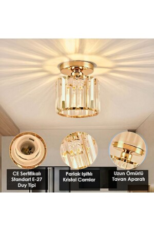 Arosa Model Luxury Koridor Salon Hol Antre Çocuk Odası Plafonyer Şık Lüks Gold Avize Ultra Home MSL - 3