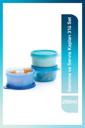 Aufbewahrungs- und Servicebehälter, 3er-Set, 250 ml, 11144680 - Tupperware