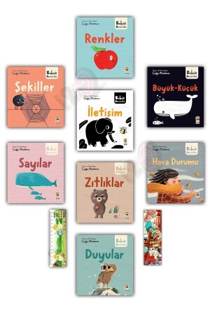 Bebek Üniversitesi - Hikayeli Ilk Kavramlarım 1-2 - Sincap Kitap