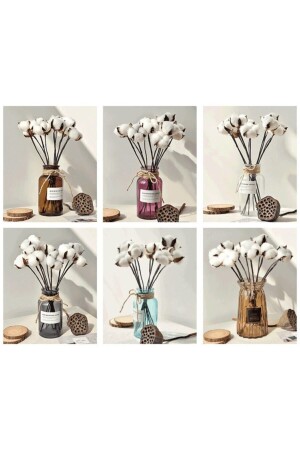Beyaz Doğal Pamuk Dalları 6 Adet - Kelebek Çiçekçilik Hobi