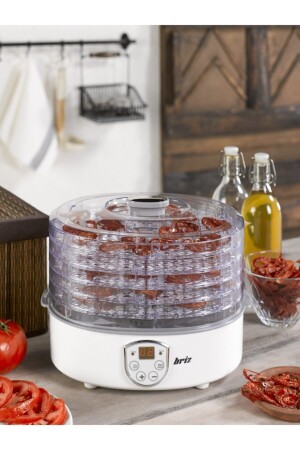 Br640 Dijital Meyve Sebze Kurutucu Gıda Kurutma Makinesi BR640 - BRİZ