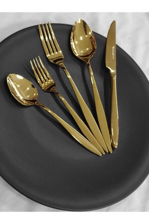 Carmen 60 Parça Çay Kaşıksız 12 Kişilik Çatal Kaşık Bıçak Seti CMDCSGTGS33 - BRONDOFF