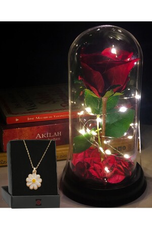 Dekorative Feen-LED-beleuchtete verblassende rote Rosenlampe und Gänseblümchen-Halskette in einem Glas PSGL4242 - 1