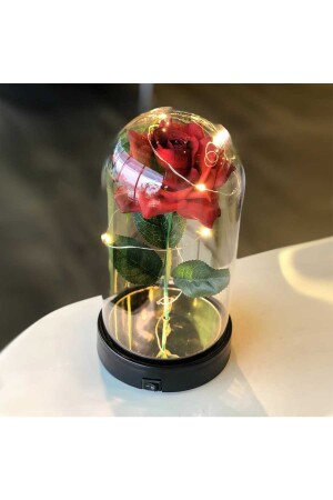 Dekorative Feen-LED-beleuchtete verblassende rote Rosenlampe und Gänseblümchen-Halskette in einem Glas PSGL4242 - 3