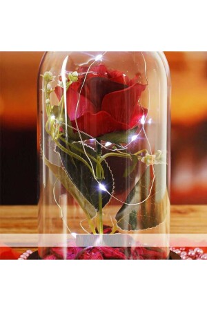 Dekorative Feen-LED-beleuchtete verblassende rote Rosenlampe und Gänseblümchen-Halskette in einem Glas PSGL4242 - 7