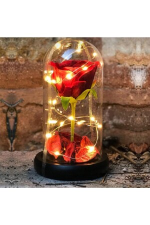 Dekorative Feen-LED-beleuchtete verblassende rote Rosenlampe und Gänseblümchen-Halskette in einem Glas PSGL4242 - 8