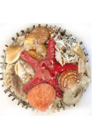 Dekorative rote Korbschale - Evinizdeki Okyanus Esintisi Turkuaz Hediyelik