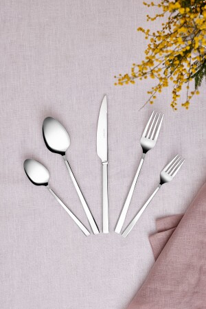 Ege 60 Parça 12 Kişilik Çatal Kaşık Bıçak Takımı Lüks Kutulu - Emsan