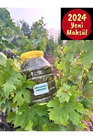 Eingelegte Weinbergblätter - Söylemez Zeytincilik