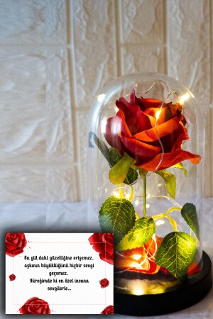 Fanus Içerisinde Dekoratif Peri Led Işıklı Solmayan Kırmızı Gül Lamba Sevgiliye Hediye Özel Not SGL4242 - 1