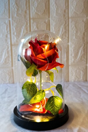 Fanus Içerisinde Peri Led Işıklı Solmayan Kırmızı Gül Lamba Ve Lotus Kamelya Çiçeği Kolye KCSGL4242 - 4