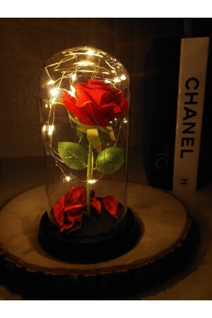 Fanus Içerisinde Peri Led Işıklı Solmayan Kırmızı Gül Lamba Ve Lotus Kamelya Çiçeği Kolye KCSGL4242 - 6