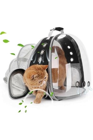 Fileli Açılabilir Genişletilebilir Katlanabilir Şeffaf Astronot Kedi Köpek Pet Hayvan Taşıma Çantası kedi1 - 1