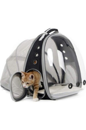 Fileli Açılabilir Genişletilebilir Katlanabilir Şeffaf Astronot Kedi Köpek Pet Hayvan Taşıma Çantası kedi1 - 3