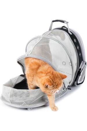 Fileli Açılabilir Genişletilebilir Katlanabilir Şeffaf Astronot Kedi Köpek Pet Hayvan Taşıma Çantası kedi1 - 5