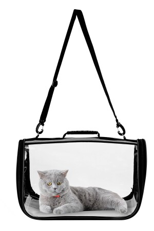 Fly Bag Kedi Köpek Taşıma Çantası Kuş Taşıma Çantası Evcil Hayvan Taşıma Çantası fly bag123 - 2