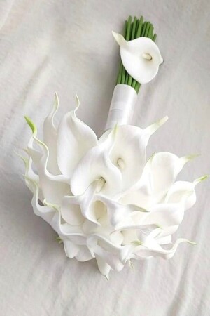 Gelin Buketi Kırık Beyaz Islak Gala Yaka Çiçeği 0001 - 1