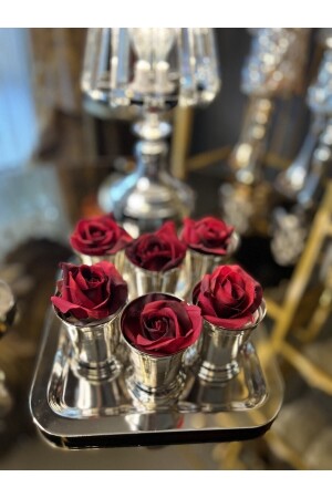 Gül Kovası - Gül - Gülhome