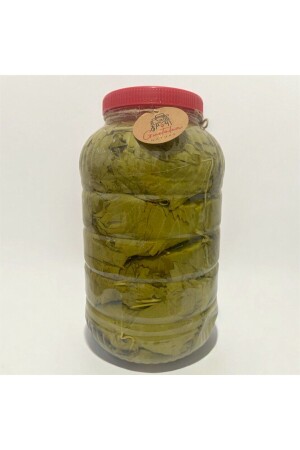 Gustolea Nature Manisa Sultaniye Erste Ernte eingelegte Spitzenweinblätter (DÜNN-OHNE Adern/ERNTE 2024)5 kg - Gn