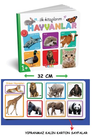 Ilk Kitaplarım Set + Eğitim Seti 50 Sözcük + Bebeğimin Ilk Zeka Kartları -eğitici Kartlar 2143set - 4