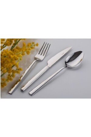 Inter Çelik Nil 72-teiliges Löffel-Gabel-Messer-Set EROLTRND6321 - İnter