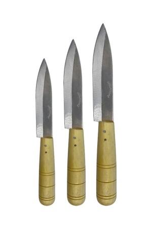 Küchenmesser mit Holzgriff, klein: 18 cm, mittel: 22 cm, groß: 26 cm, 3-teiliges Set, scharfe Qualität. 1. Hochwertiges Heimmesser - Güzelyüz Avm