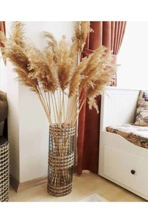 Kuru Çiçek Pampas 20 Adet 100 cm M-100 - Can