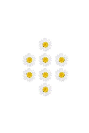 Kurutulmuş Papatya Beyaz 8 Adet - Getshopmini