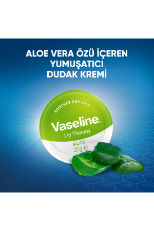 Lip Therapy Yumuşatıcı Dudak Kremi Aloe Vera Özü 20 G X2 SET.UNİ.554 - 3
