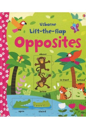 Ltf Opposites - Usborne