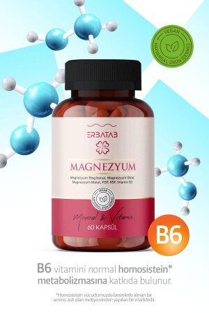 Magnezyum 3 Lü Form (Bisglisinat, Sitrat, Malat) & Vitamin B3 - 60 Kapsül - Magnezyum VT0005 - 5