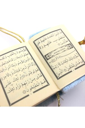 Mini-Koran mit Samtbezug – Fuchsia - 2