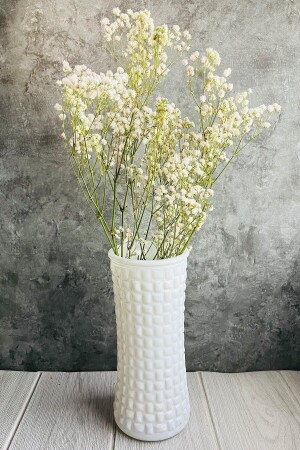 Naturel Beyaz Cipso Demeti 1.kalite Şoklanmış Dökülmeyen Kuru Çiçek - Goya Home