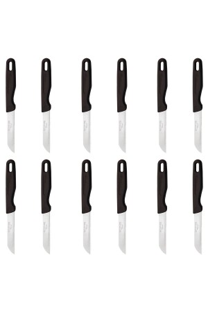 Obstmesser-Set mit Hohlgriff, 12 Stück, Schwarz - Solingen