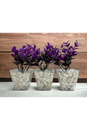 Özel Tasarım DIY 3`lü Kübik Saksıda Dekoratif Taş Detaylı Mor-Yeşil Okaliptus - Lilac Home