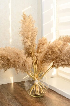 Pampas Otu Dekoru Uzun 10 Adet- 100cm Boyundan Pampas Otu Zemin Vazo Için- - Alyones