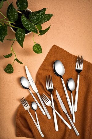 Sahra 84-teiliges Luxus-Besteckset in Box für 12 Personen 600. 15. 01. 2498 - Emsan