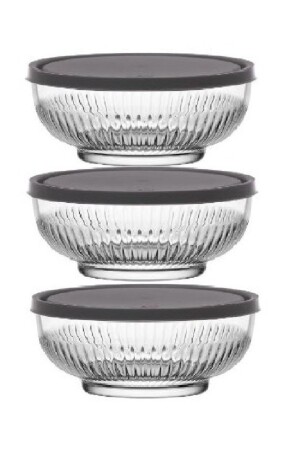 Saklama Kabı 3'lü 489796623 - Lav