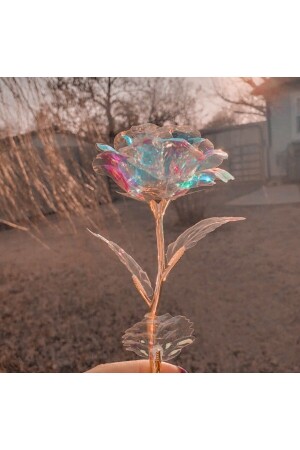 Sevgililer Ve Anneler Gününe Özel- Dekoratif Solmayan Sonsuzluk Gülü - Hkm Hobim