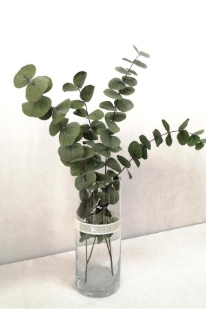 Şoklanmis Büyük Yeşil Okaliptus Demeti 20420201260 - Kuru Çiçek Deposu