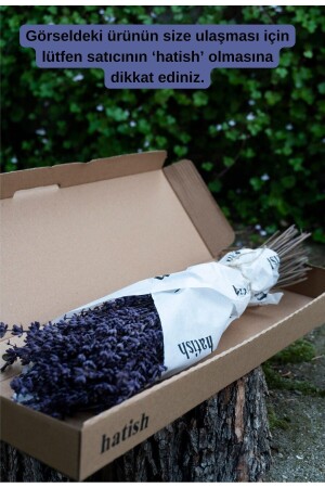Şoklanmış Dökülmeye Dayanıklı Doğal Lavanta Demeti - Hatish