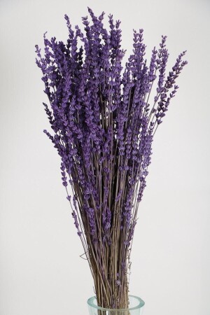 Şoklanmış Dökülmeye Dayanıklı Gerçek Lavanta Demeti Mor (100 Gr) - Hanımın Atölyesi