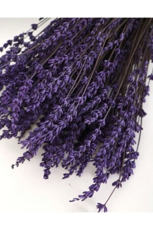 Şoklanmış Dökülmeyen Gerçek Lavanta - Efiraz