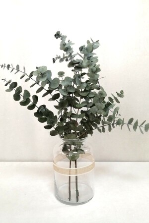 Şoklanmis Küçük Yeşil Okaliptus Demeti - Genel Markalar